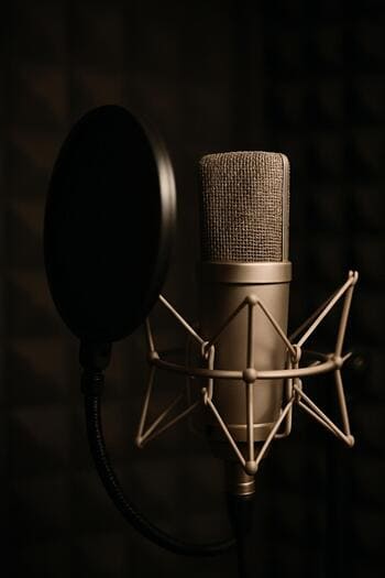 Vokal mikrofonlarının vitrinində müxtəlif modellər